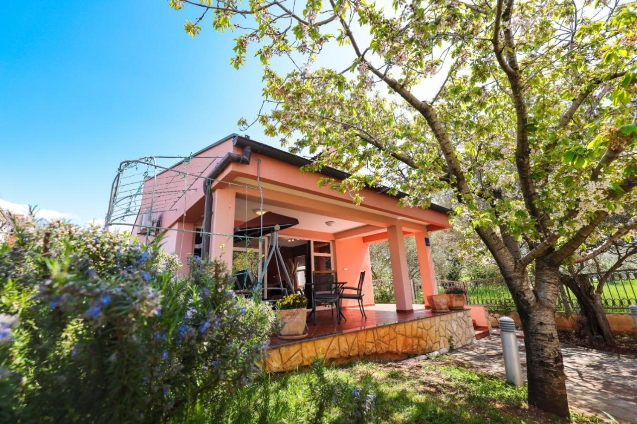 Holiday Home Cvita Sukošan Εξωτερικό φωτογραφία